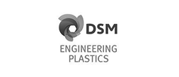 logo DSM engineering plastics